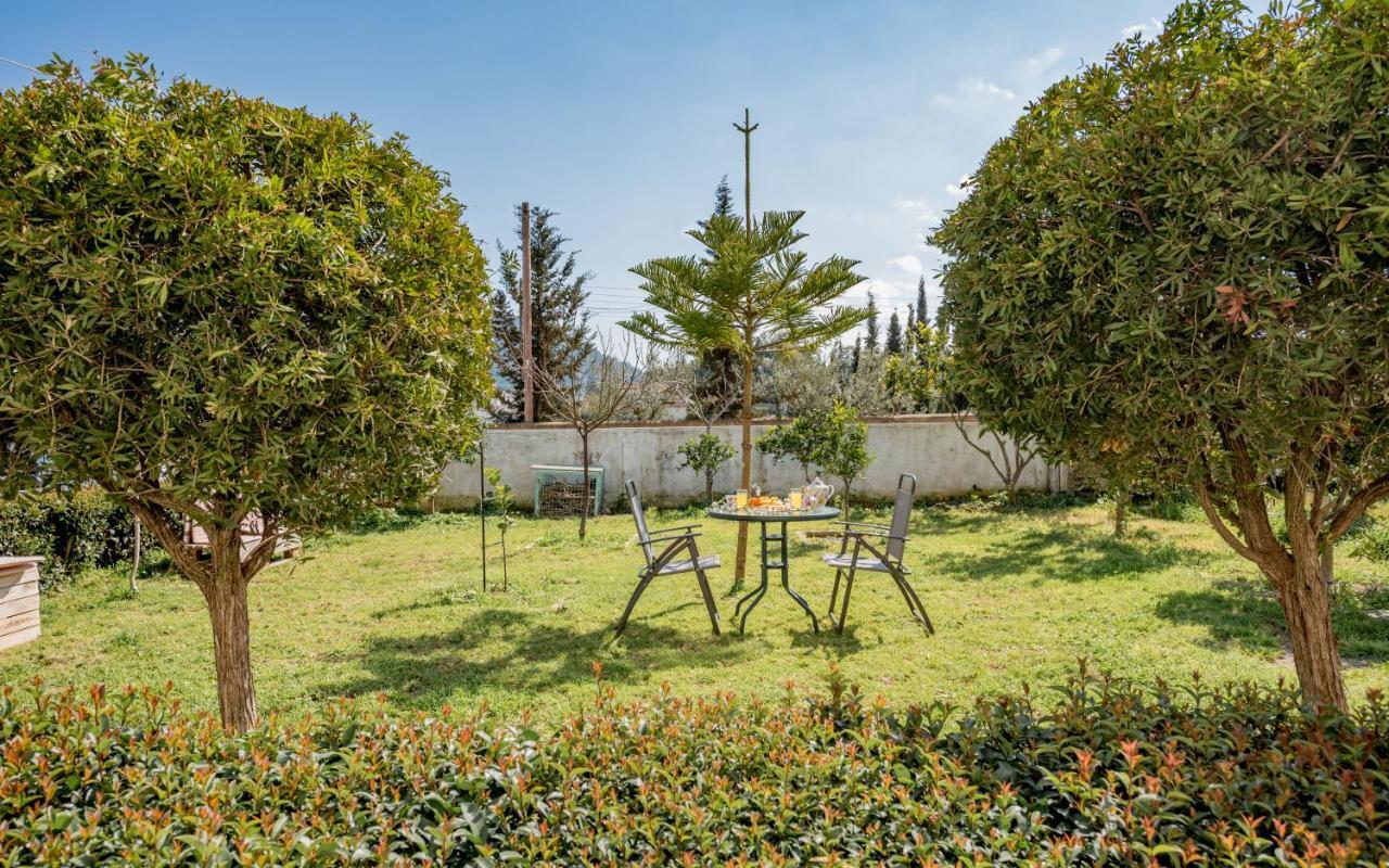 Eleni'S Cozy Apartment In Tsilivi Gaitani 外观 照片